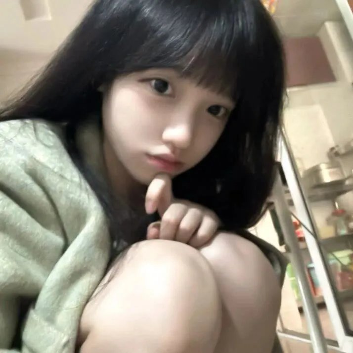 国土安全第八季